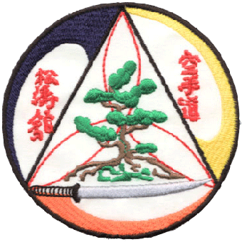 Dojo Kenshinkan Ryu